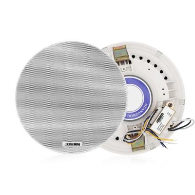 Loa âm trần công suất 10W DSP5211 | DSPPA