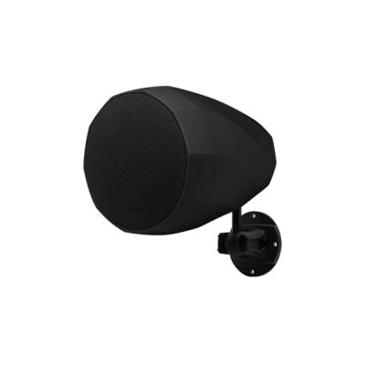 Loa gắn sàn nhà, sân nhà công suất 30W màu đen DSP5253B | DSPPA