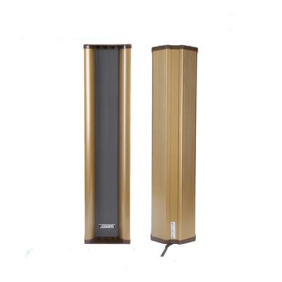 Loa cột chống nước công suất 40W DSP408 | DSPPA