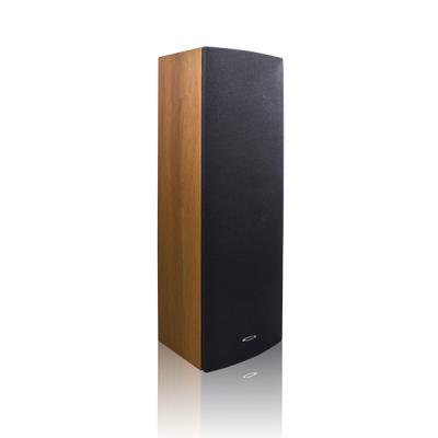 Loa cột công suất 20W DSP203II | DSPPA