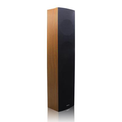 Loa cột công suất 40W DSP403II | DSPPA