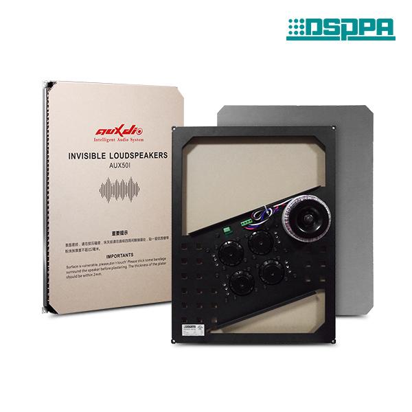 Loa ẩn - Loa nội thất DSPPA